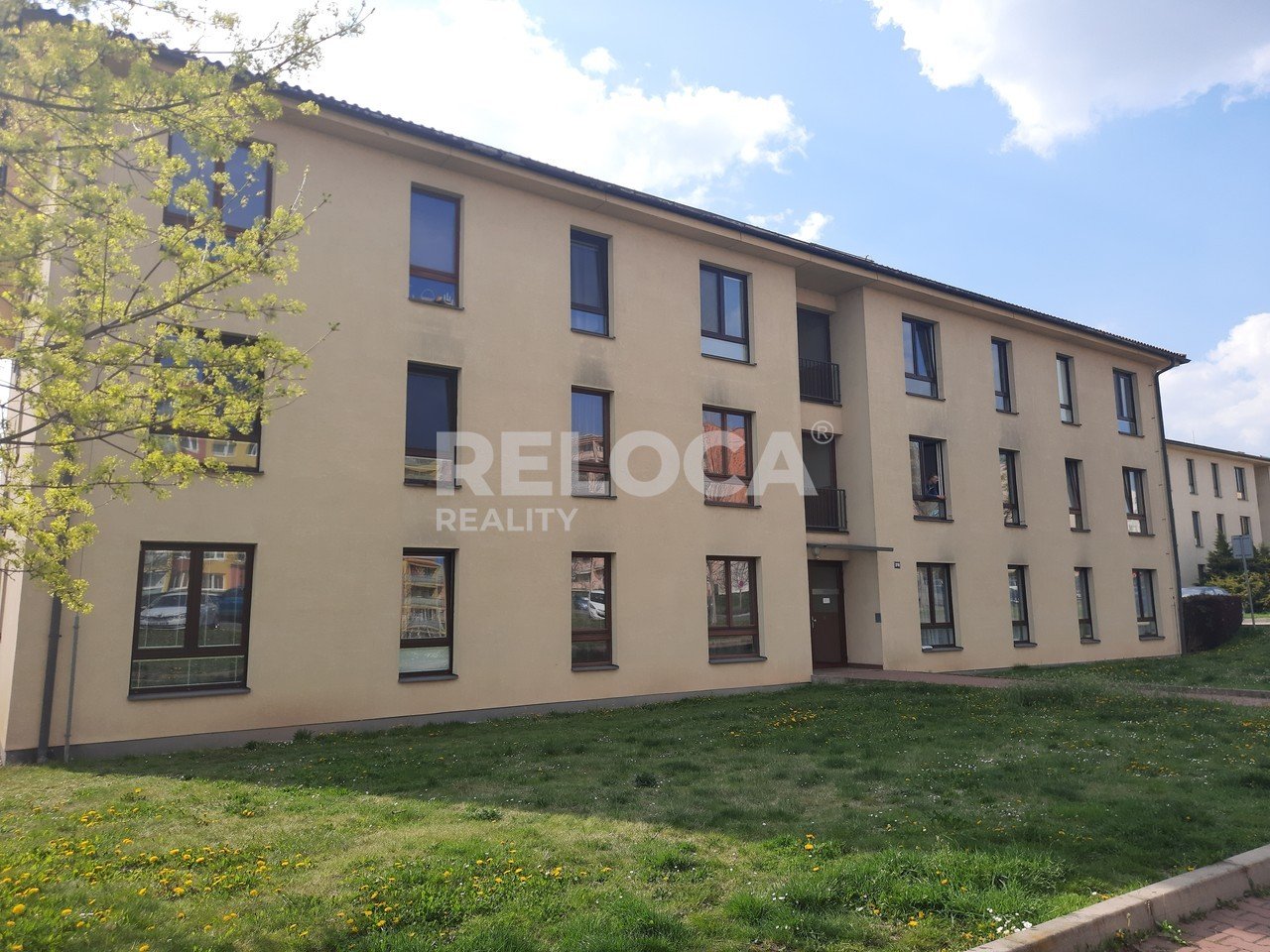 tn_zoom_filename_221187