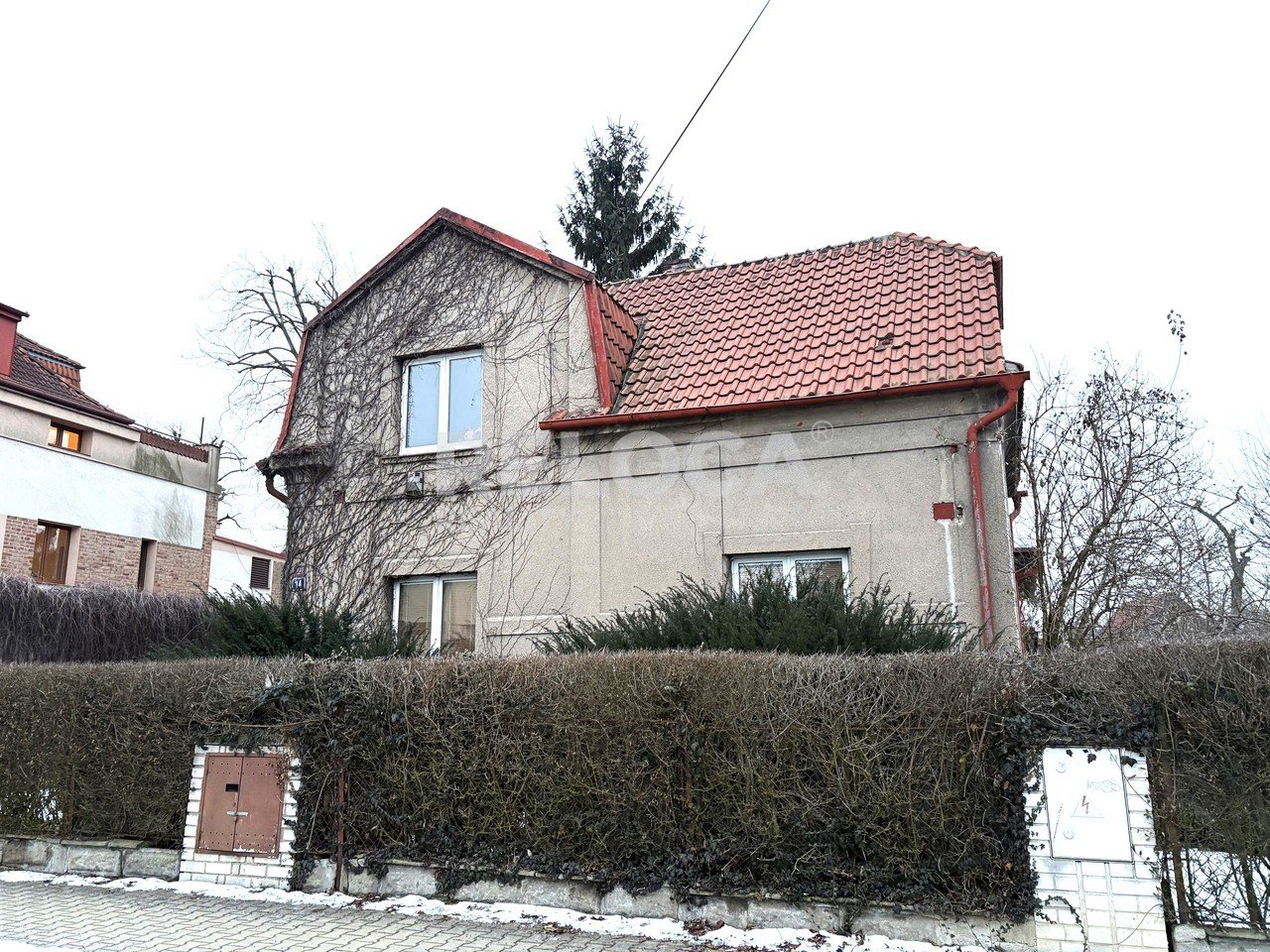 tn_zoom_filename_237528